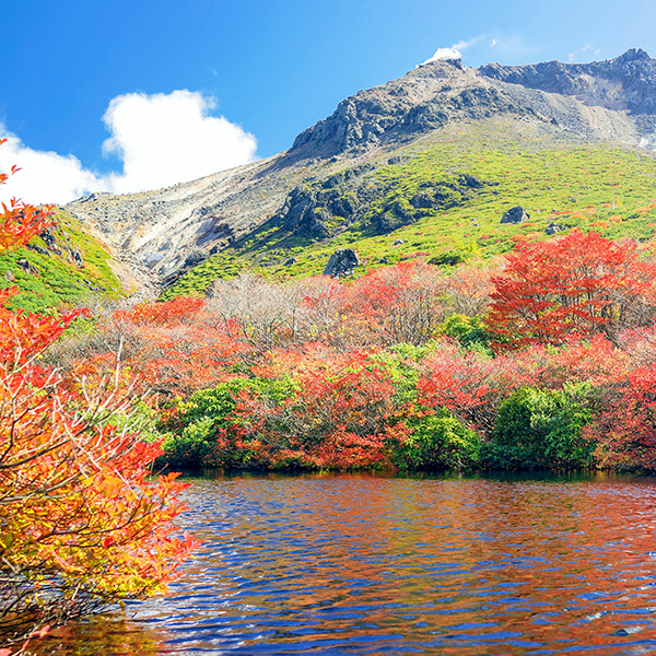 秋山(紅葉)