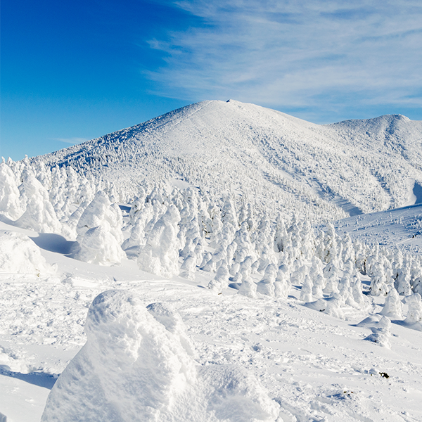 冬山