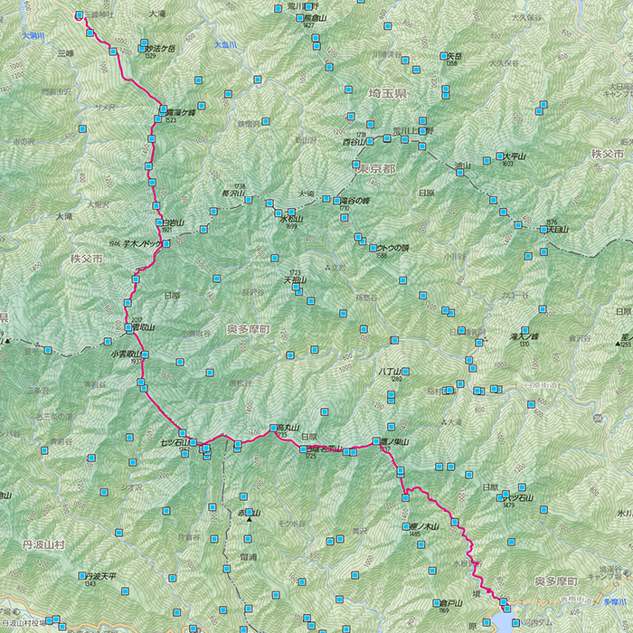 雲取山のコース