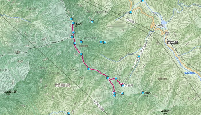 谷川岳(たにがわだけ)のコース