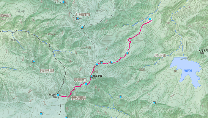 苗場山のコース