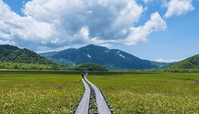 山ノ鼻キャンプ場(至仏山)