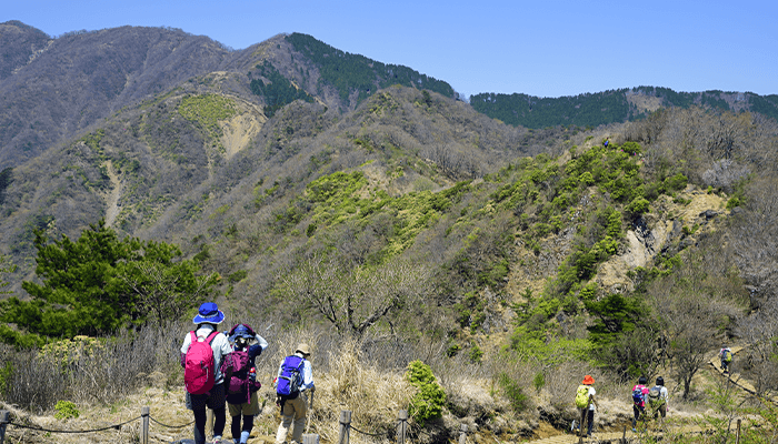 【ケース1】丹沢山に登山した場合