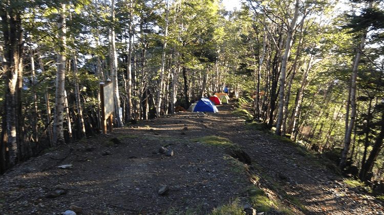 雲取山荘テント場