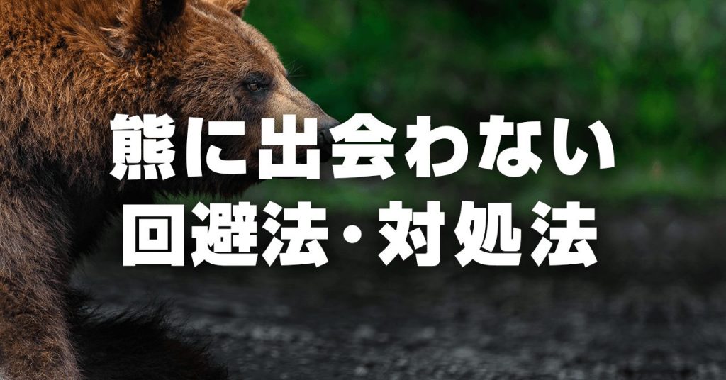 登山中に熊に出会わないための回避法・対処法