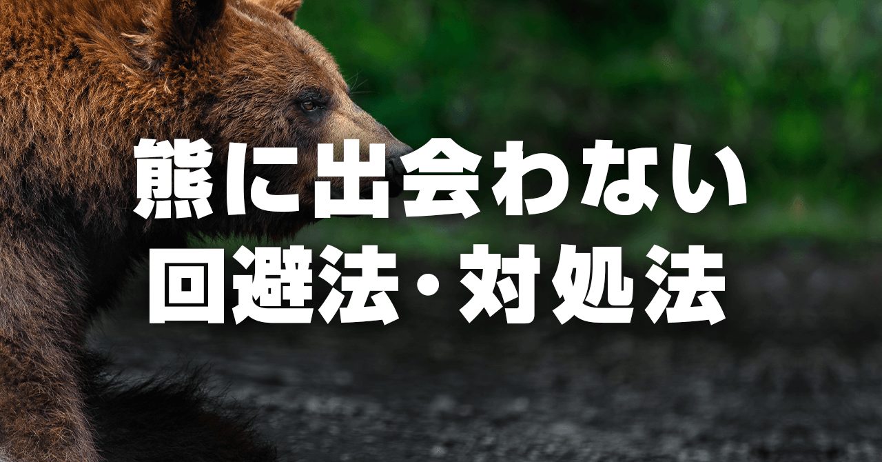 登山中に熊に出会わないための回避法・対処法