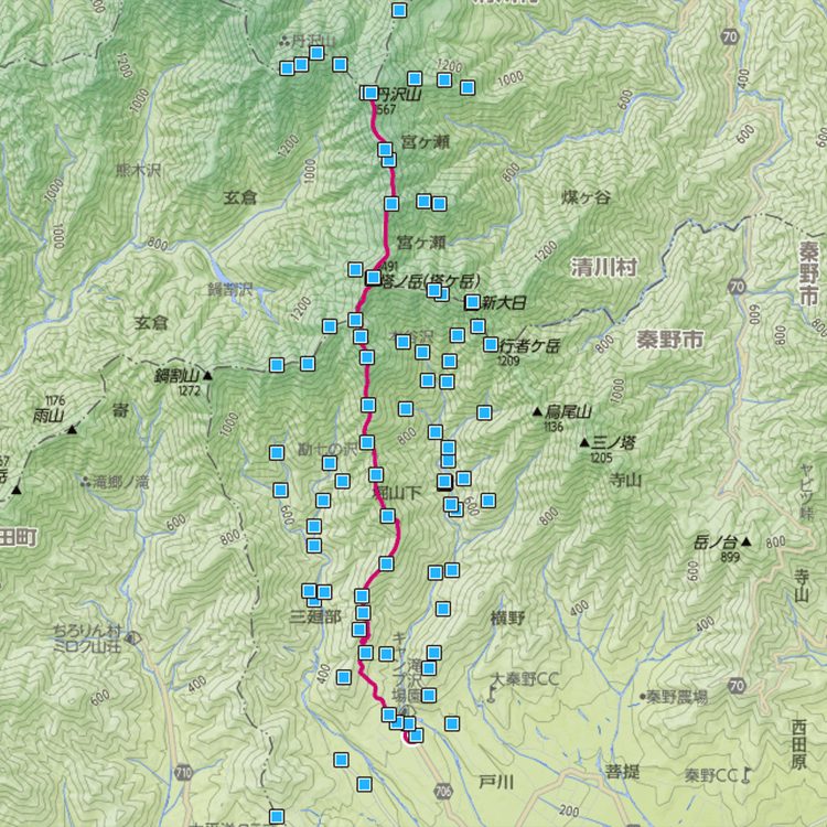 大倉から丹沢山コース